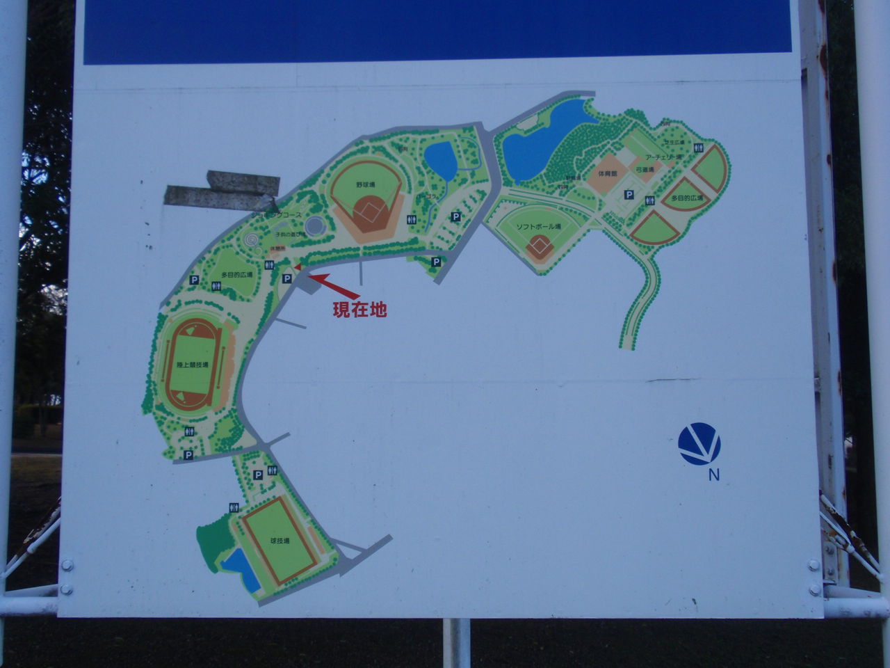 豊田市運動公園陸上競技場：投稿ユーザーアルバム／ホームメイト