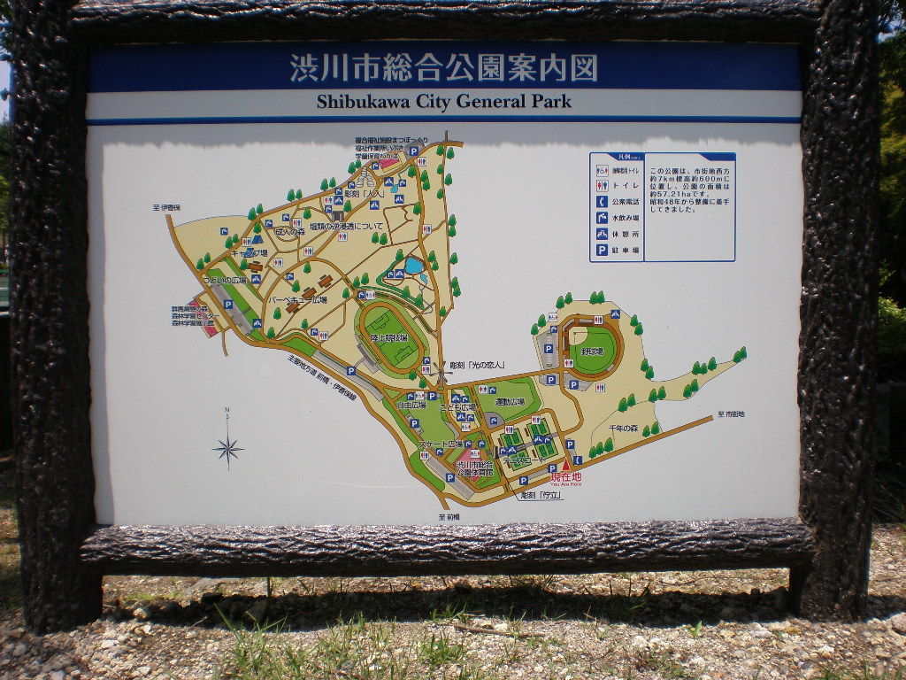 イメージ 8