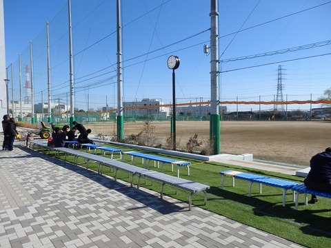 P3153825