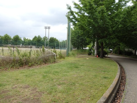P5245292