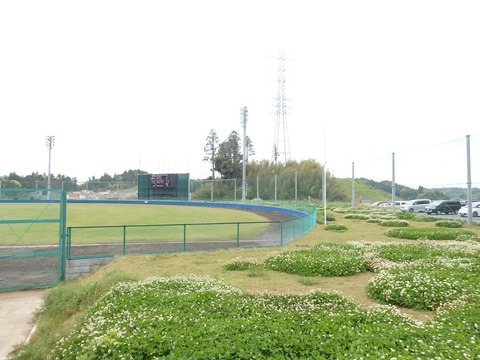 P4290687