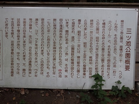 P7031562