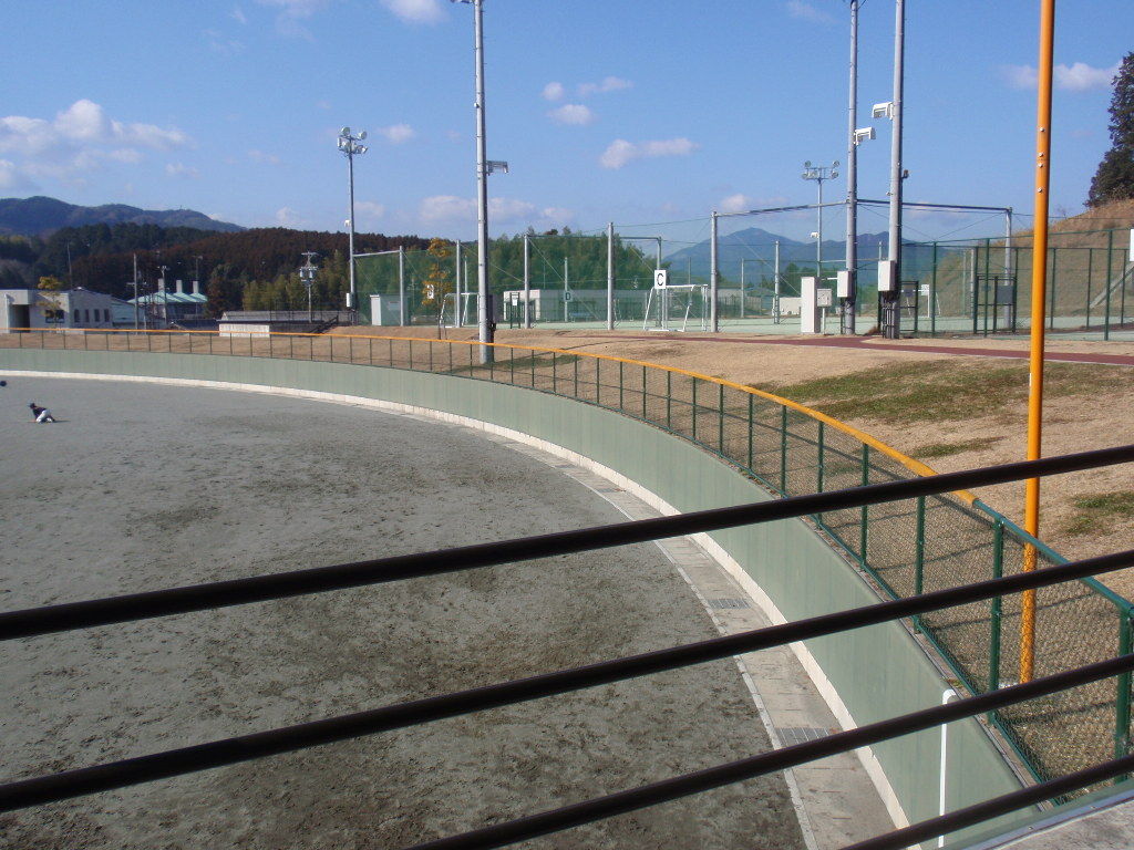イメージ 6
