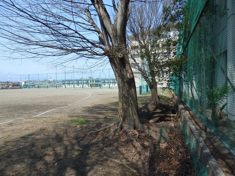P3295558