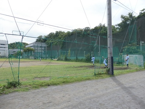 P8151386