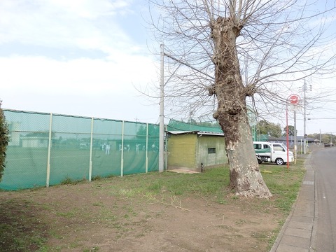 P4040124