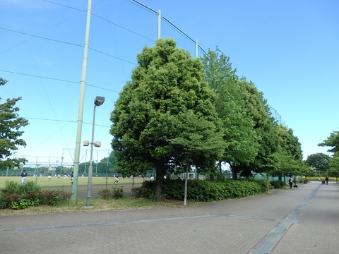 P5093290