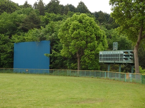 P5031321