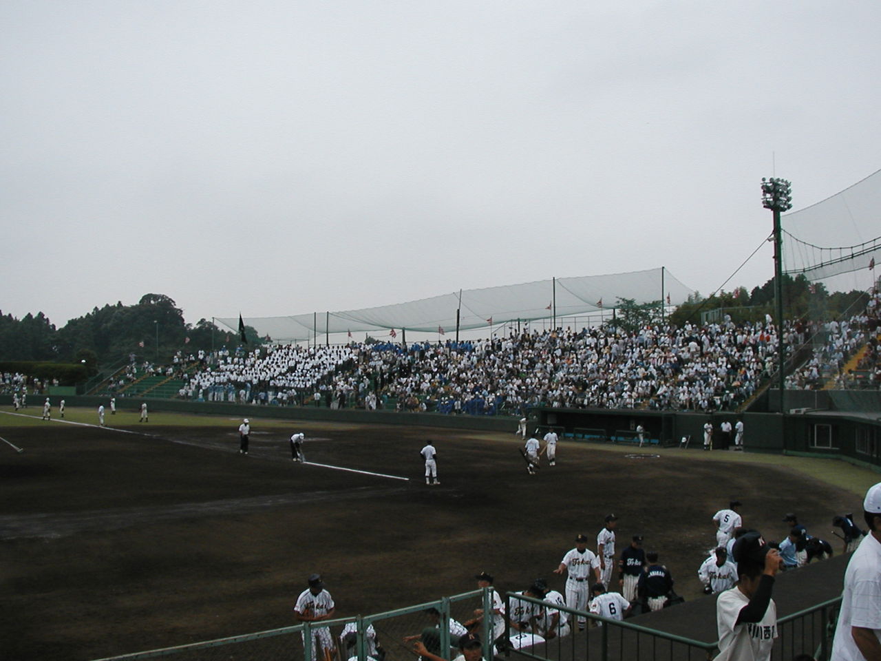 イメージ 3