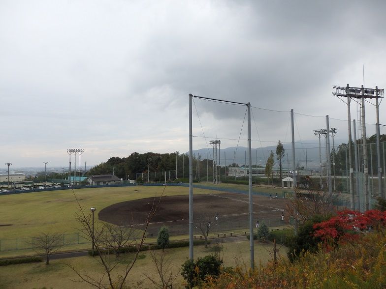 イメージ 13