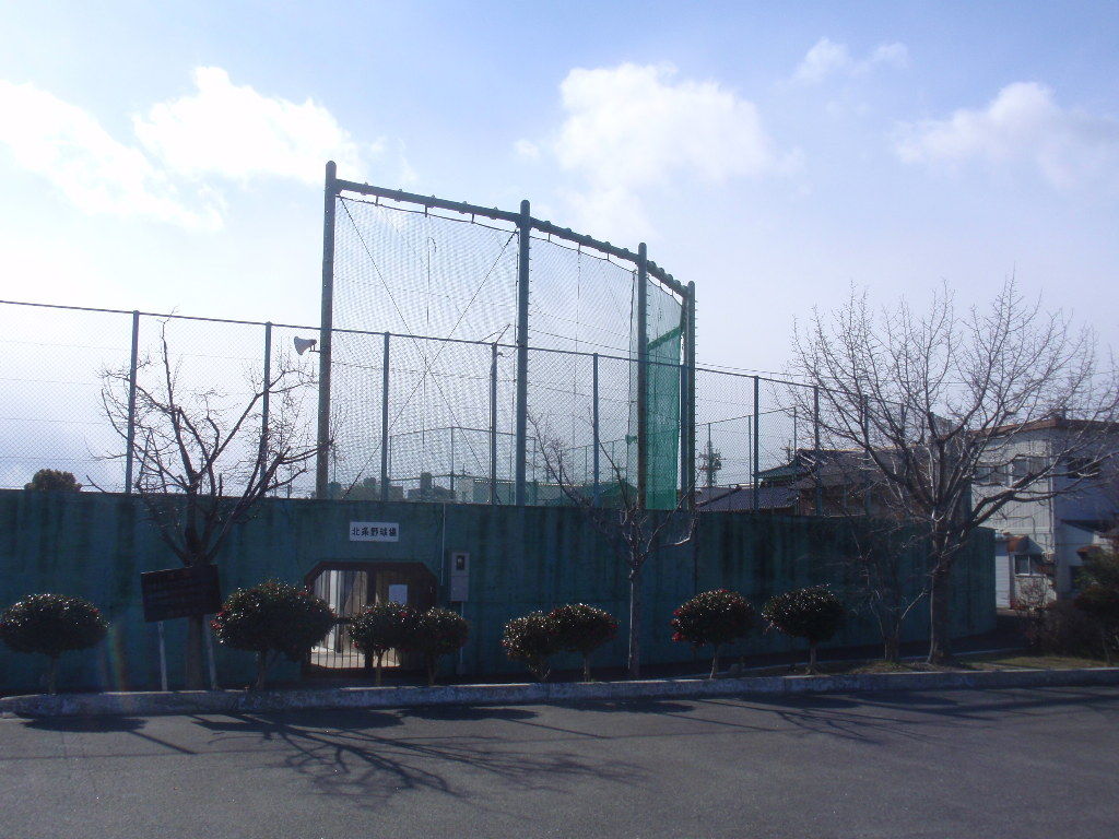 イメージ 7