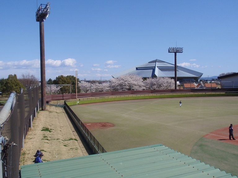 イメージ 14