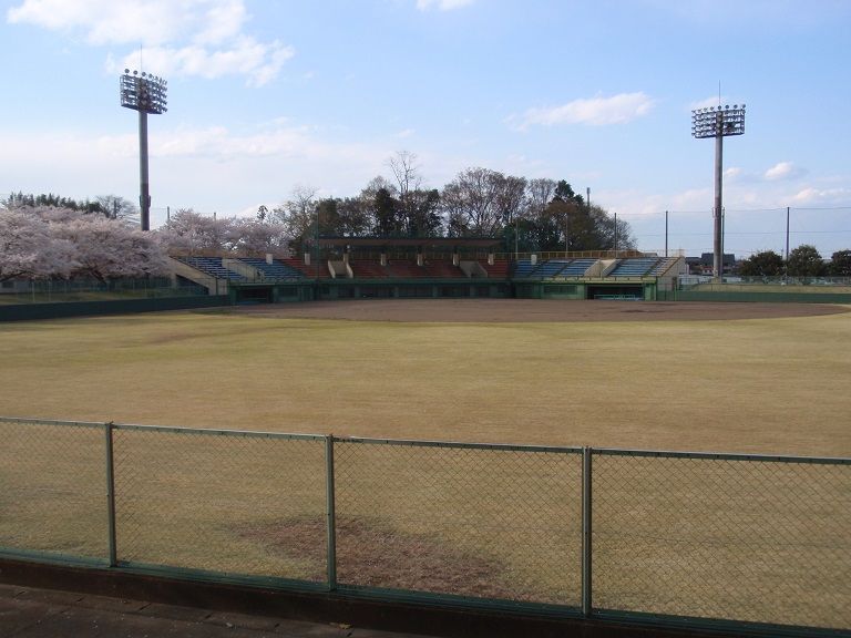 イメージ 14