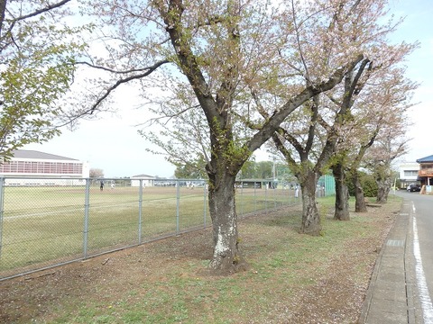 P4040125