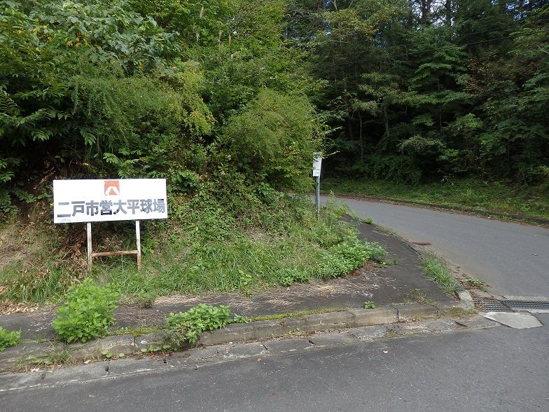 イメージ 17