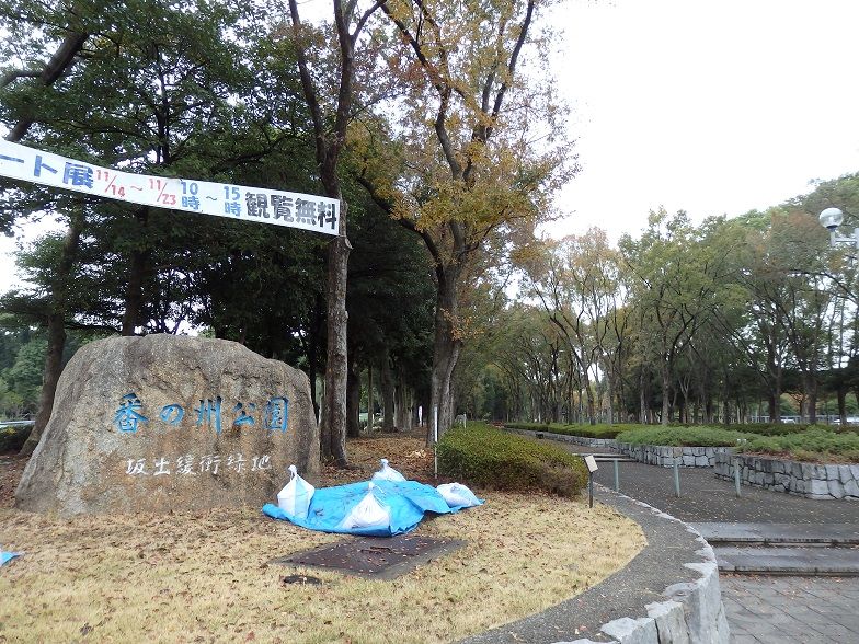 イメージ 18