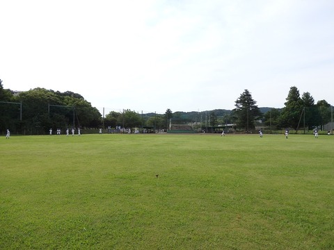 P7091855