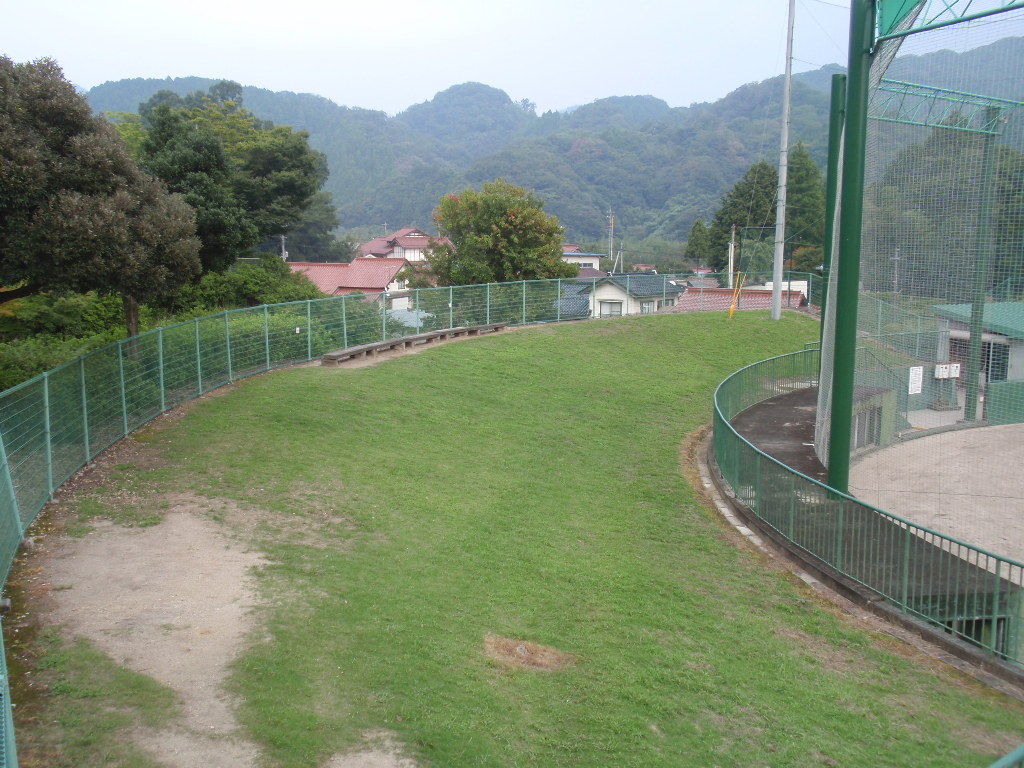 イメージ 7