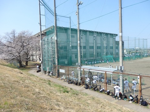 P3295537