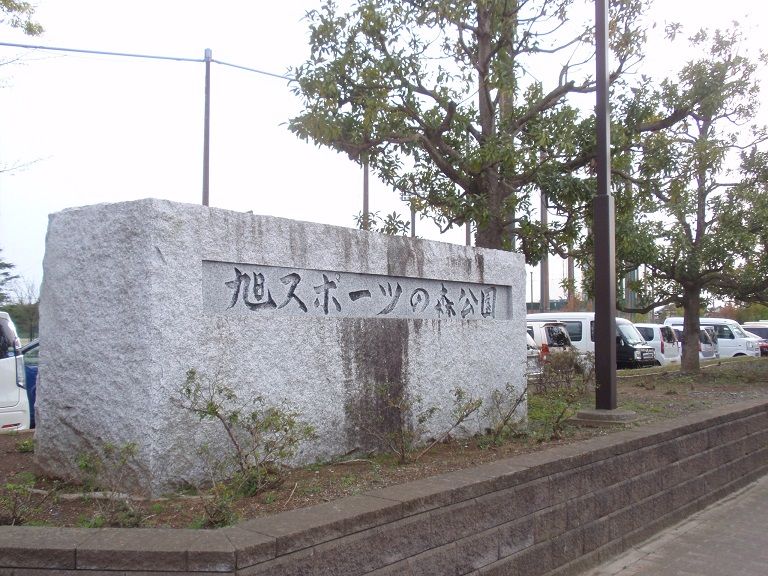 イメージ 21