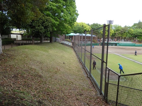 P5021258