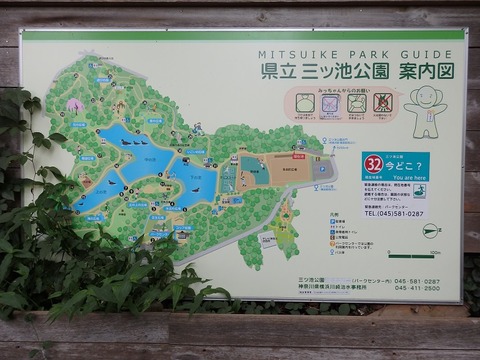 P7031560