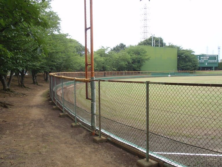 イメージ 13