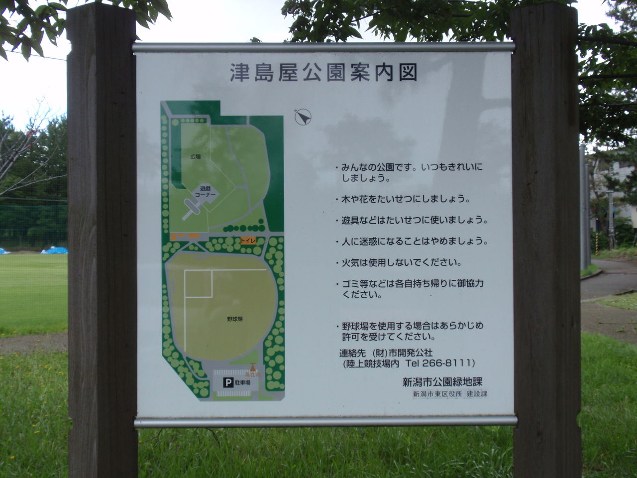 イメージ 11