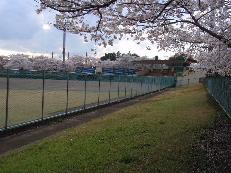 イメージ 4