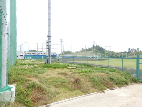 P4290689