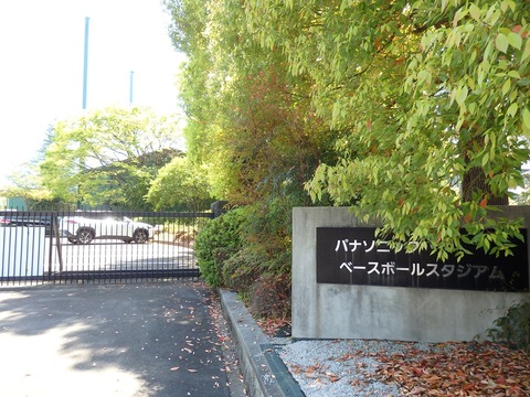P4110209