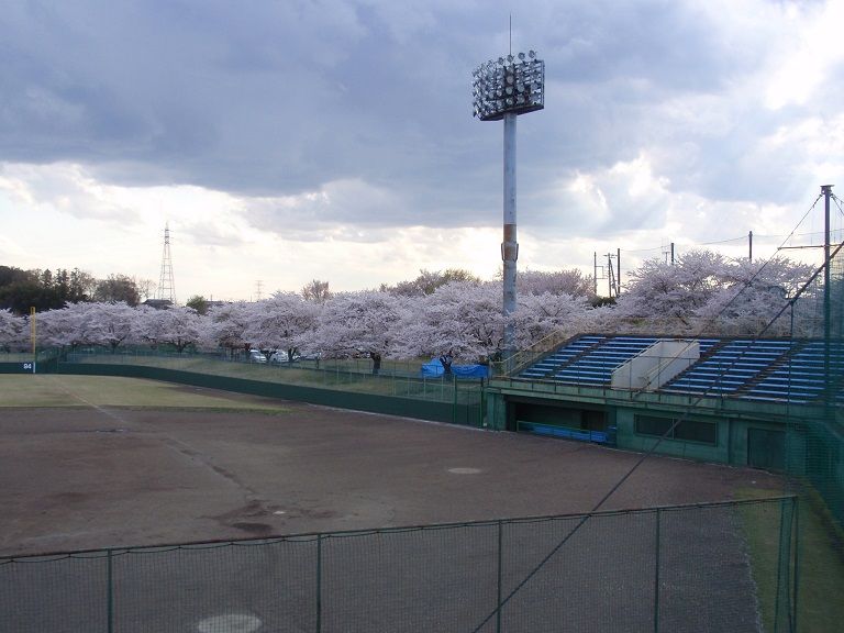 イメージ 5