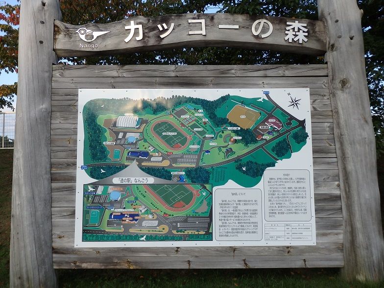 イメージ 12