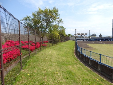 P4250033