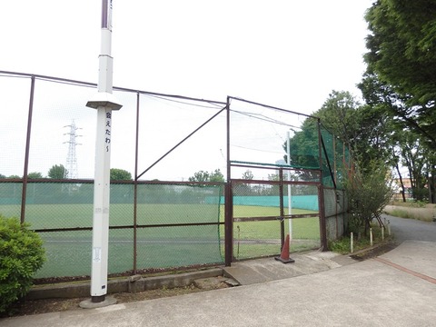 P5234796