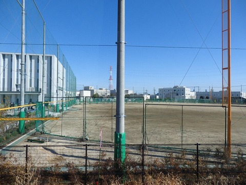 P3153845