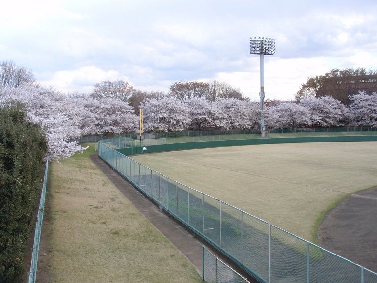 イメージ 11