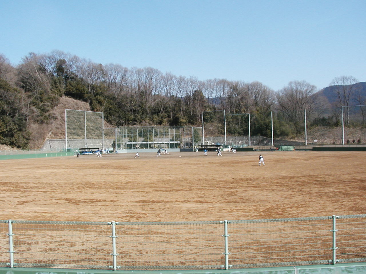 イメージ 5