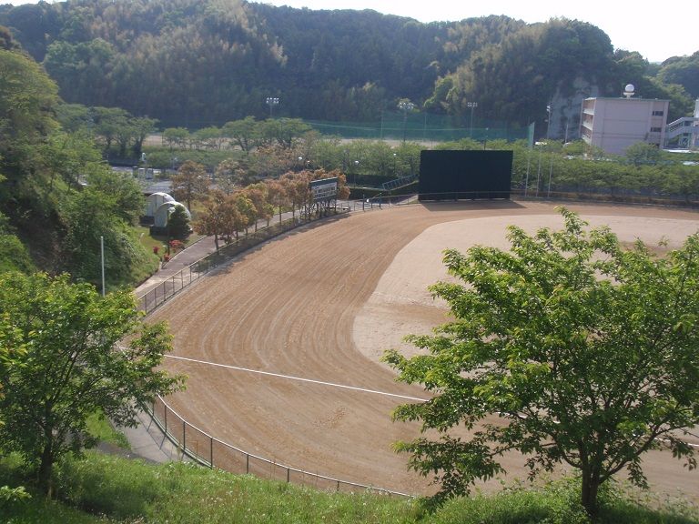 イメージ 10