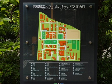 P5062928