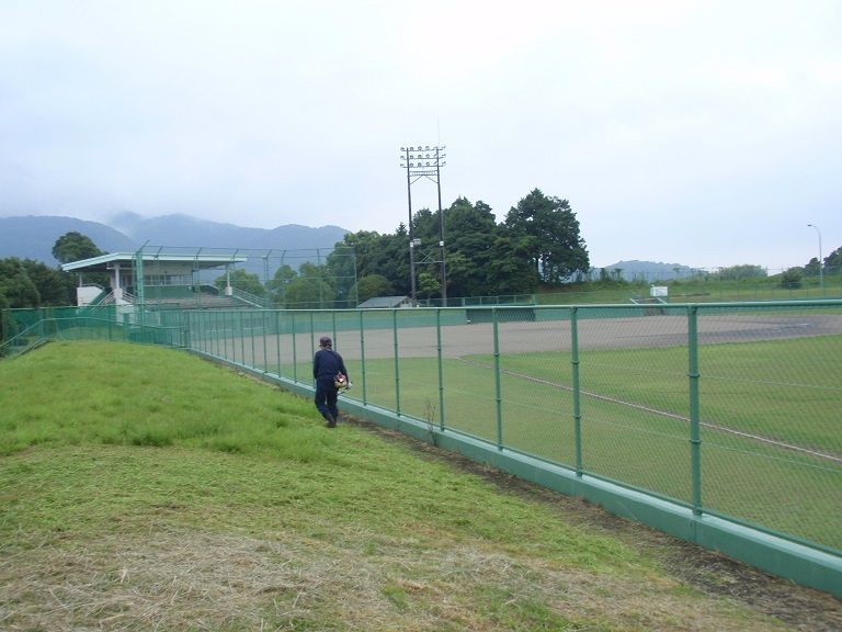 イメージ 13