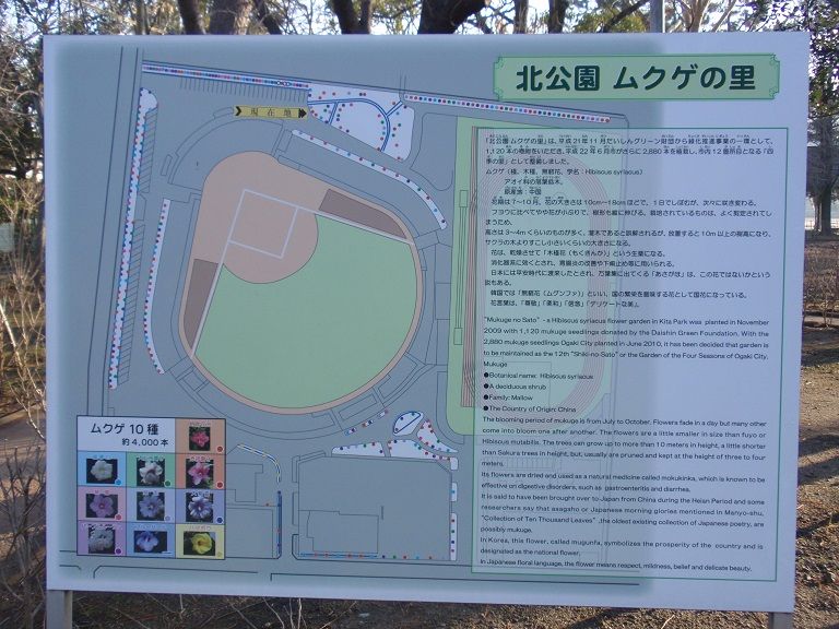 イメージ 12