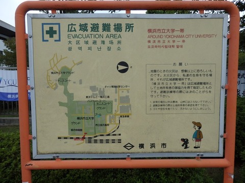 P8151475