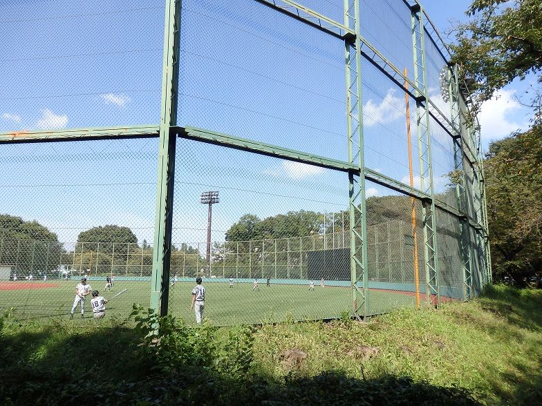 イメージ 15