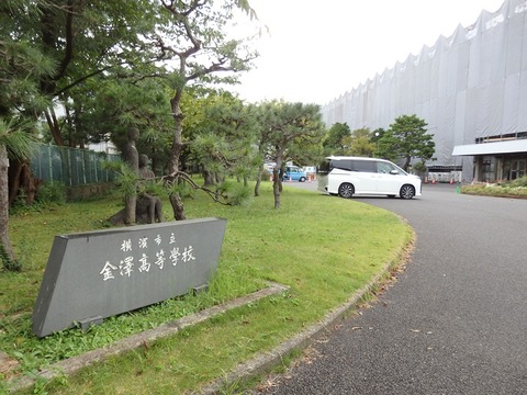 P8151468
