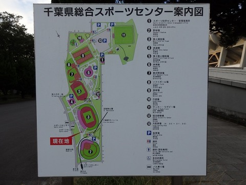 P7181144