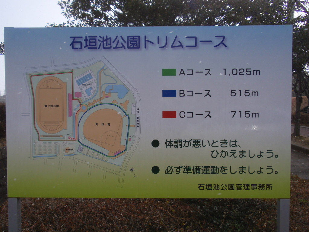 イメージ 10