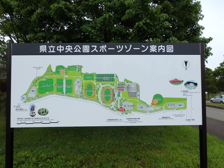 イメージ 7