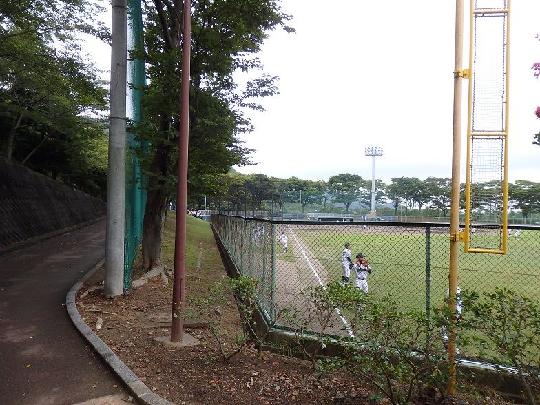 イメージ 12