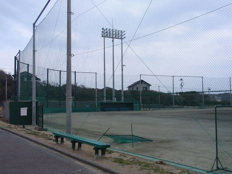 イメージ 7